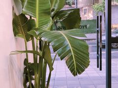 -常识咖啡common sense(春熙路店)