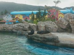 -广东省拱北口岸中国旅行社(华宾营业部)