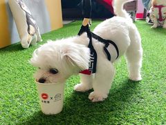 -必胜客(滨江店)