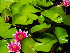 -北京植物园-展览温室