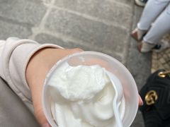 -洪馨椰子