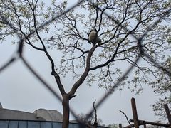 -北京动物园