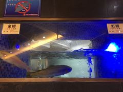 -沱江鱼府(丽江店)