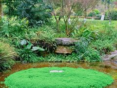 -龙头寺公园