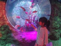 -沈阳海洋探索中心