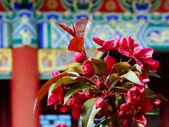 -盛世南宫影视城(北普陀影视城)