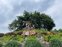 -自贡恐龙博物馆