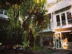 -Fern Forest Cafe
