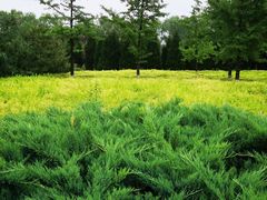 -永定河休闲森林公园