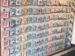 -猫的天空之城概念书店(丽江古城饮玉巷店)