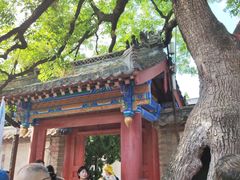 -蓬莱阁景区
