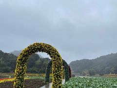 -广州市石门国家森林公园