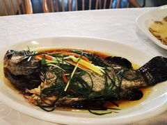 葱香老虎斑-廣味潮鲜·一品潮滋味(五道口店)