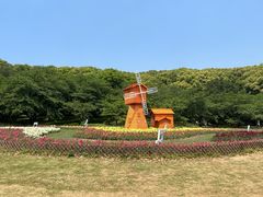 -苏州上方山国家森林公园