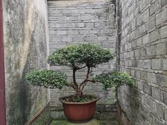 -天一阁博物院