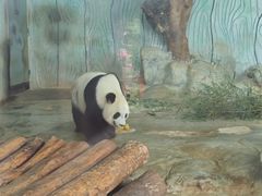 -海南热带野生动植物园