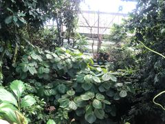 -南山植物园