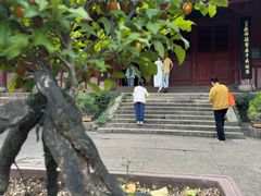 -宁波市保国寺古建筑博物馆