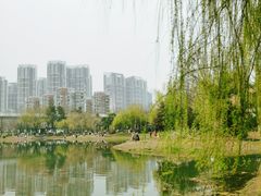 -堤角公园