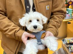 -FAELING PETS美天灵宠物(合生汇店)