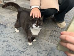 -长春观