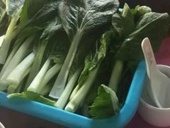 本地小白菜-侠成水上农庄(工业大道店)