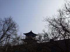 -西安碑林博物馆