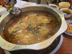 酸萝卜鱼火锅-大理.老字号渝记酸萝卜乌鱼(古城总店)
