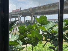 -辉记虾塘海鲜农庄