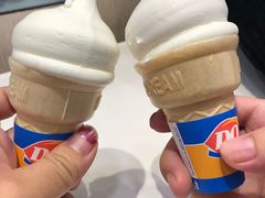 -DQ·蛋糕·冰淇淋(动壹店)