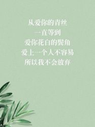 -禧趣婚礼
