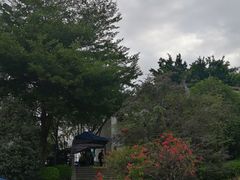 -乌山风景区
