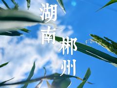 -仰天湖大草原