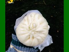 菜包-老上海大包(四川北路店)