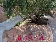 -张学良旧居陈列馆