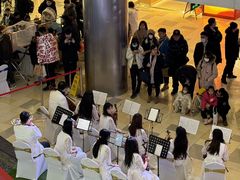 -鹏欣水游城