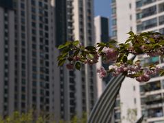 -苏州河梦清园环保主题公园