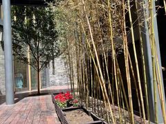 -艾儿思国际幼托园(双井园店)