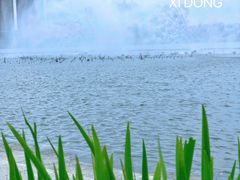 -映月湖中央公园