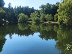 -上海共青森林公园