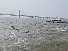 -星海广场