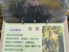 -佛慧山