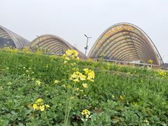 -中国天府农业博览园