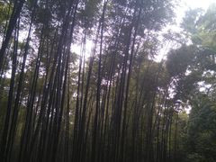 -中国铁路上海局集团有限公司杭州职工培训基地