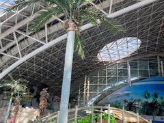 -天山海世界·米立方