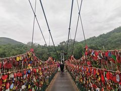 -西双版纳原始森林公园