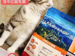 -四海酒家生态粤菜