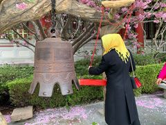 -石岛赤山风景区