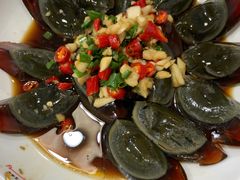 -龙小海荆沙鸽子店(瑞安街店)