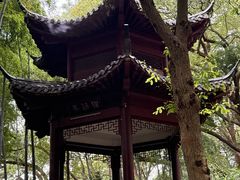-杭州黄龙洞